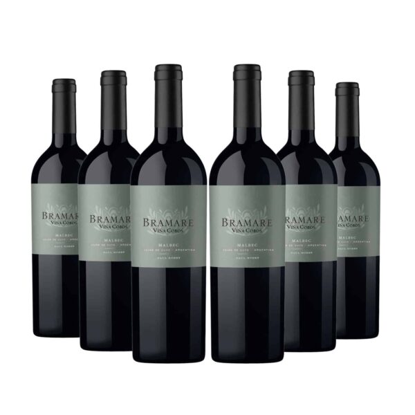 Sixpack Vino tinto Bramare Lujan de Cuyo malbec, Argentina.