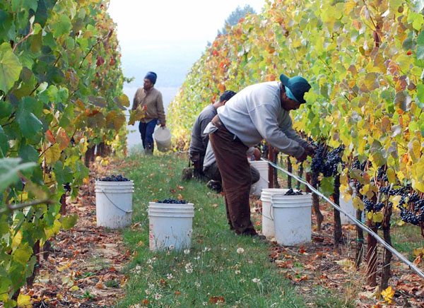 Los Terroirs del Mundo