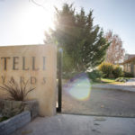 Piattelli Vineyards