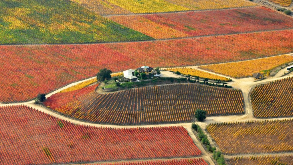 Los Terroirs del Mundo: Colchagua