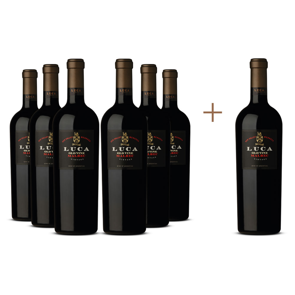 Promo 6 + 1 Vino tinto Luca malbec, Argentina