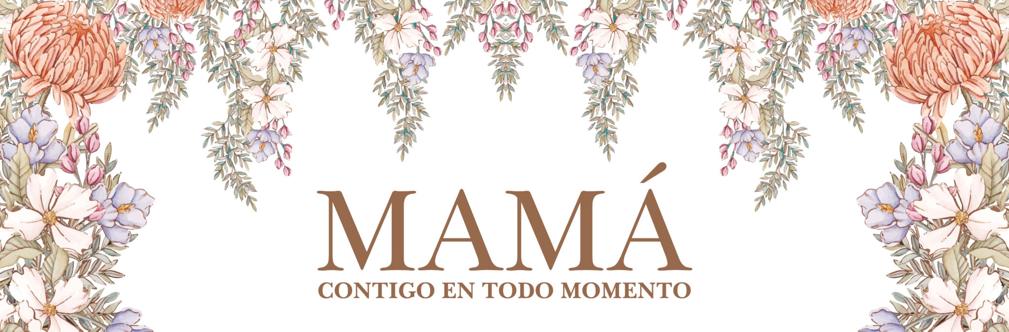 WEB (27)