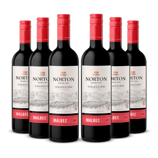 Sixpack Vino tinto Norton Colección malbec. Argentina