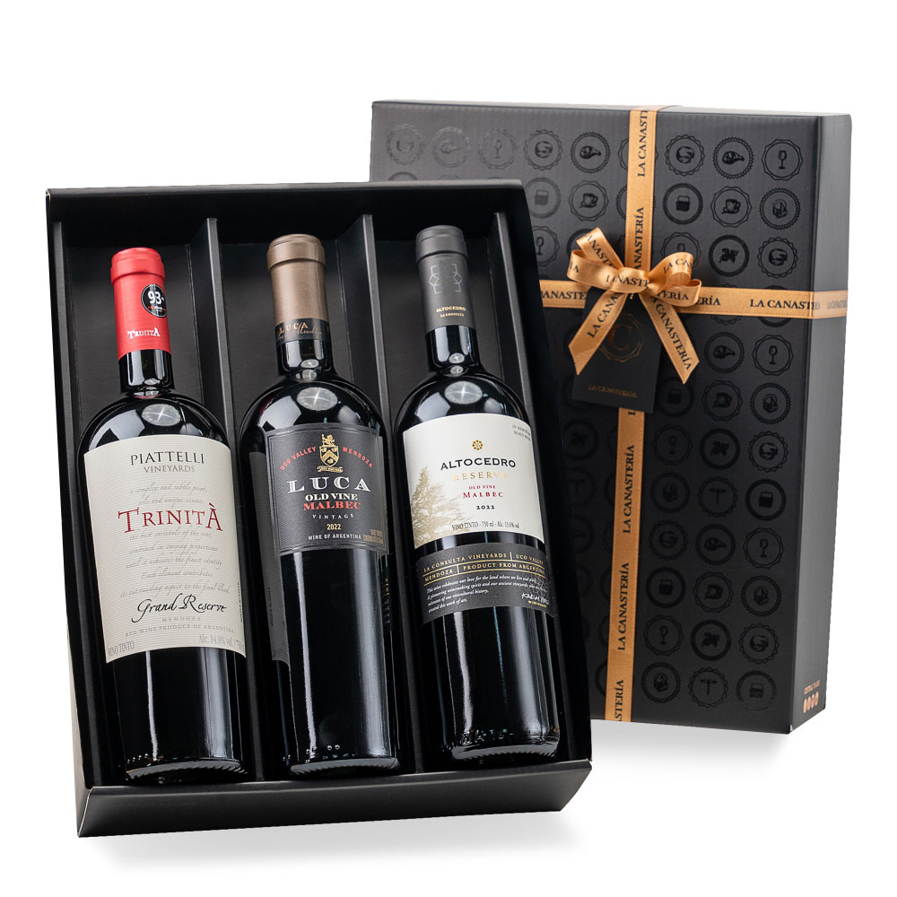 Estuche Premium