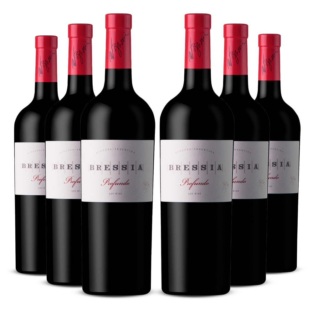 Sixpack Vino tinto Bressia Profundo blend. Argentina
