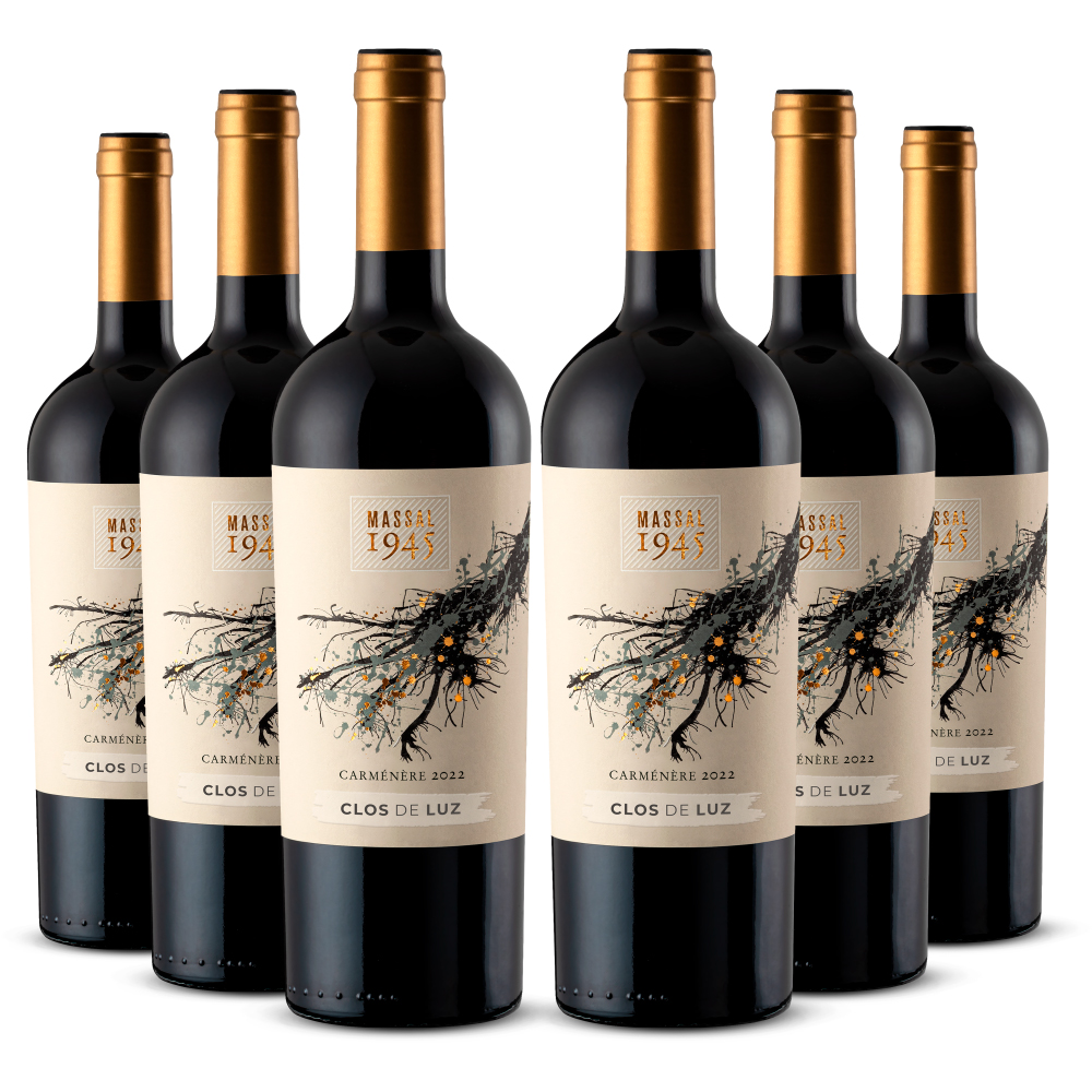 Sixpack Vino tinto Massal 1945 carménere D.O. Rapel Valley. Chile